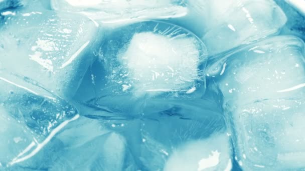 Ice Cubes in Water - Video