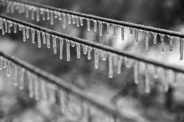 Elektrické kabely, dráty jsou pokryty ledem po fenoménu mrazivého deště. Selektivní zaměření - Fotografie, Obrázek