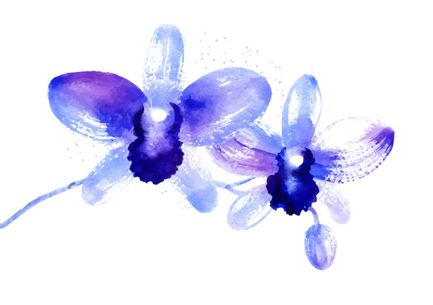 Branch of blue watercolor orchids - Wektor, obraz