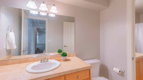 Panorama Intérieur d'une salle de bain avec chambre à l'intérieur et deux lavabos. Il y a un miroir et une plante en pot sur le dessus de la vanité à côté de la cuvette de toilette et une vue du rideau de douche par la porte à gauche. - Photo, image