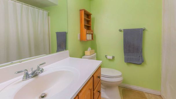 Panoráma Fürdőszoba belső világoszöld falakkal és fehér zuhanyfüggönnyel. Van egy hiúság mosogató tükörrel a jobb oldalon, a WC-hez közel, kis szekrény tetején a lógó törülköző az elülső falon. - Fotó, kép
