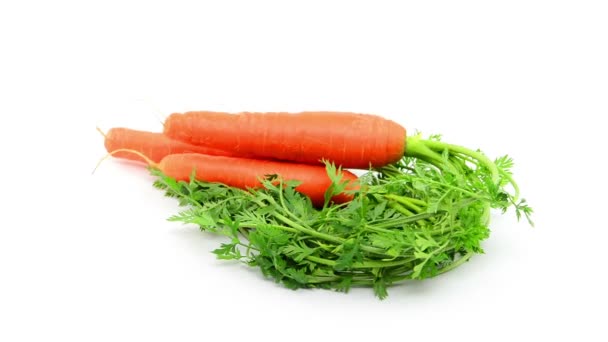 Zanahorias sobre fondo blanco - Metraje, vídeo