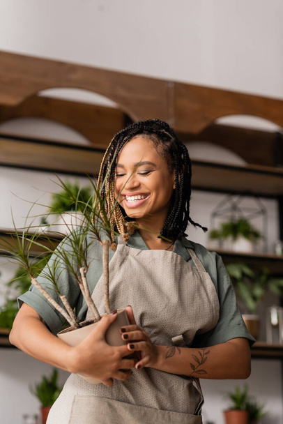 tattooed african american florist smiling while holding green potted plant in flower shop - Фото, изображение