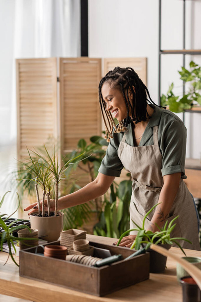 fiorista afroamericano sorridente vicino a piante verdi e scatola con vasi di torba nel negozio di fiori - Foto, immagini