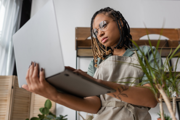 lage hoek uitzicht op ernstige Afro-Amerikaanse bloemist op zoek naar laptop terwijl staan in de bloemenwinkel - Foto, afbeelding