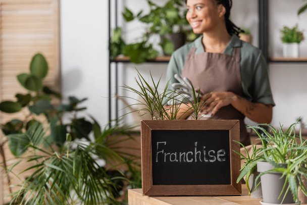 selective focus of board with franchise lettering near green plants and african american florist smiling on blurred background - Fotoğraf, Görsel