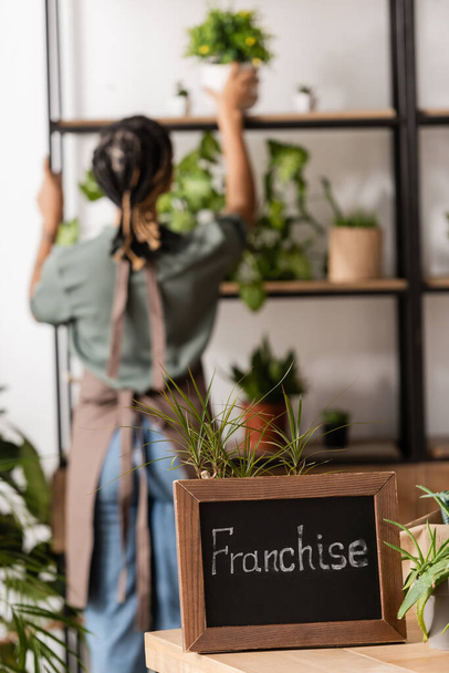 selective focus of board with franchise inscription and african american florist near rack with plants on blurred background - Фото, изображение