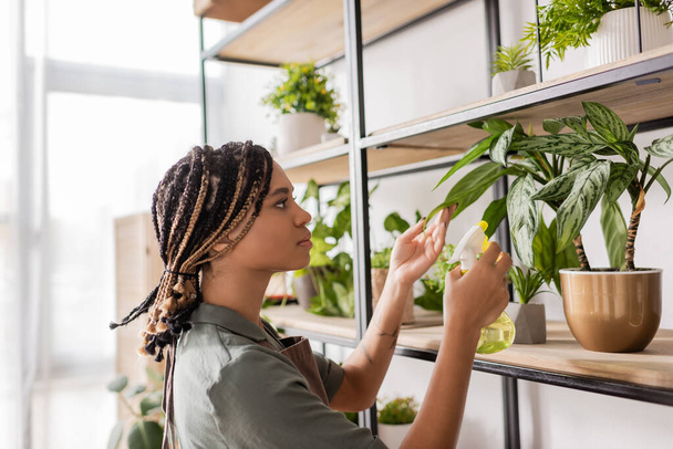 side view of african american florist with braids spraying potted plant on rack in flower shop - Φωτογραφία, εικόνα