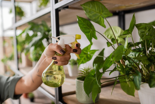 partial view of african american woman holding spray bottle with fresh water near green plant in flower shop - Photo, Image