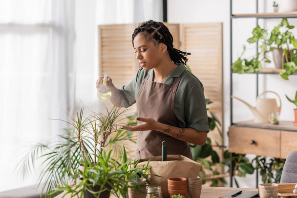 elegante florista afro-americano em avental pulverizando água doce em plantas em vasos perto de diferentes vasos - Foto, Imagem