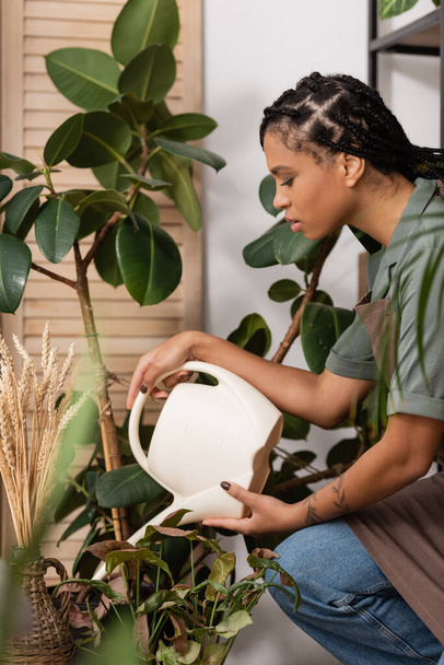 вид збоку красивого афроамериканського флориста з трендовою зачіскою поливу рослин у квітковому магазині
 - Фото, зображення