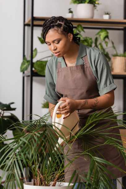 young tattooed african american woman in apron watering tropical plant in flower shop - Photo, Image
