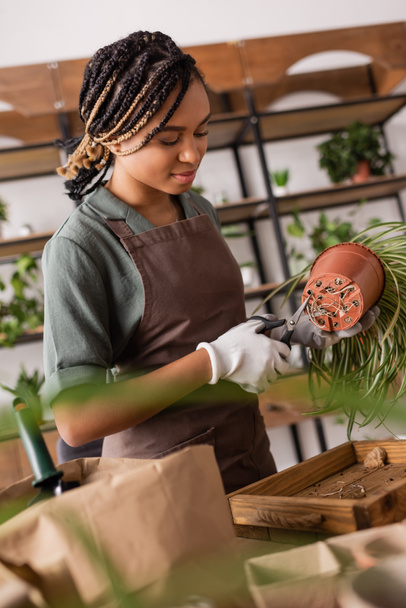 floristería afroamericana con peinado de moda trabajando en floristería y cortando raíces de planta antes de trasplantar - Foto, imagen