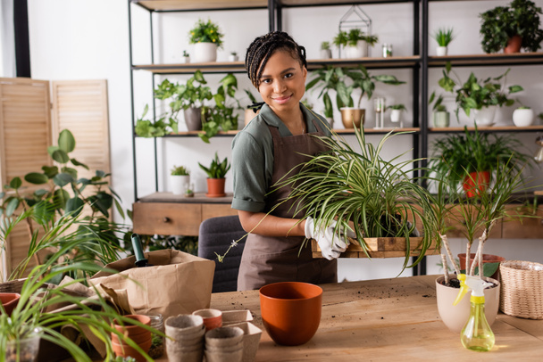 pretty african american florist looking at a camera while holding plant near flowerpots on table in shop - Photo, Image
