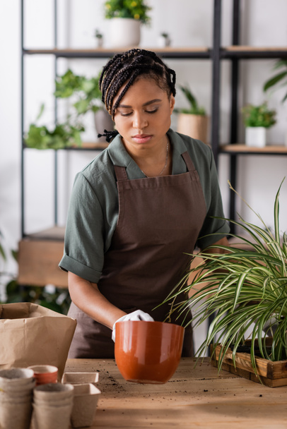 donna afro-americana con acconciatura alla moda con vaso da fiori e pianta con foglie verdi - Foto, immagini