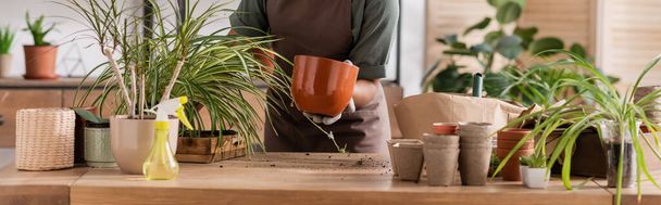 обрізаний вид афроамериканського флориста, що пересаджує рослини на дерев'яний стіл у квітковому магазині, банер
 - Фото, зображення