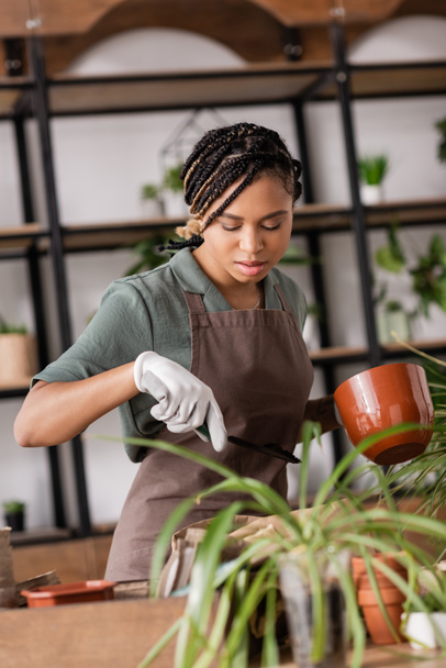 κομψή αφρικάνικη αμερικανίδα γυναίκα κρατώντας σέσουλα κήπου και γλάστρα, ενώ εργάζονται κοντά σε θολή φυτά - Φωτογραφία, εικόνα