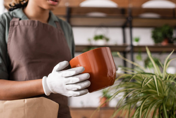 oříznutý pohled na africké americké květinářství v pracovních rukavicích drží květináč u zelené rostliny - Fotografie, Obrázek