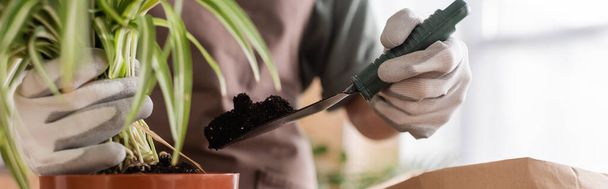 cropped view of african american woman in work gloves holding plant and garden scoop with soil, banner - Photo, Image