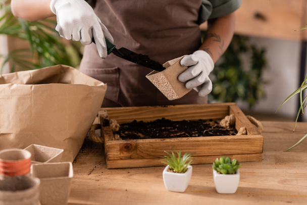 bijgesneden weergave van Afrikaans-Amerikaanse bloemist in werkhandschoenen vullen bloempot met grond in de buurt van houten doos en kleine planten - Foto, afbeelding