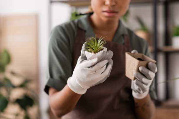 cropped view of blurred african american florist in work gloves holding small green plant and flowerpot with soil - Foto, afbeelding
