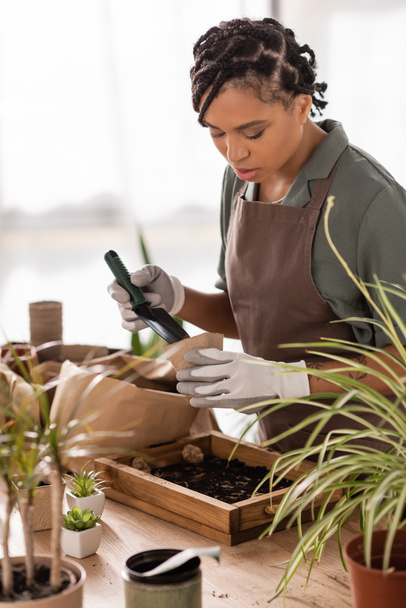 florista americano africano com penteado moderno segurando colher de jardim e vaso enquanto trabalhava perto de plantas na loja - Foto, Imagem