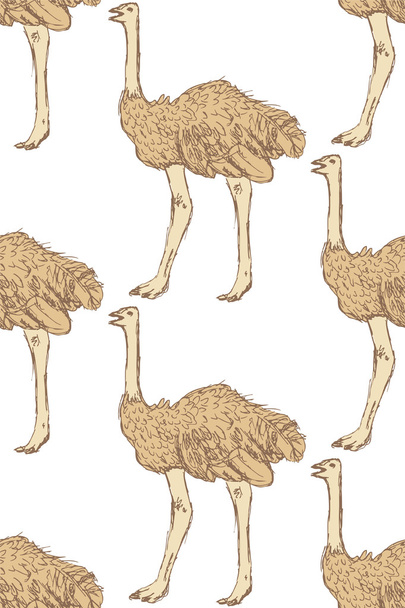 Sketch cute ostrich in vintage style - Wektor, obraz