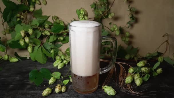 Mug of beer after pouring against hops on black table - Footage, Video