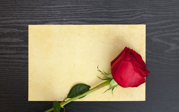Rose and sheet of paper - Fotografie, Obrázek