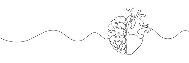 Una línea de dibujo de la mitad de un cerebro humano y un corazón humano. Ilustración vectorial - Vector, imagen