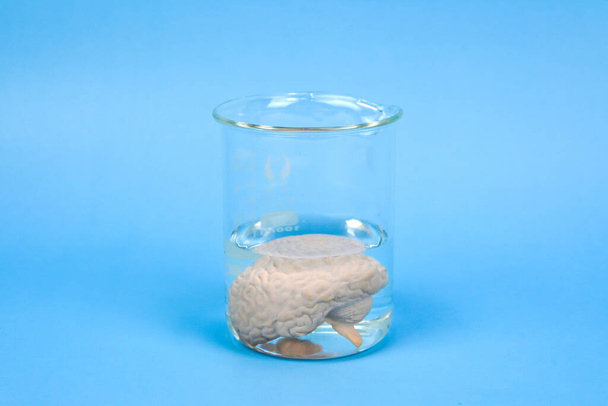 Brain under water, subconscious mind influences most powerful inner forces which drive human behavior, influences to lifemost compelling mental life and brainstorming abstract idea. - Photo, Image