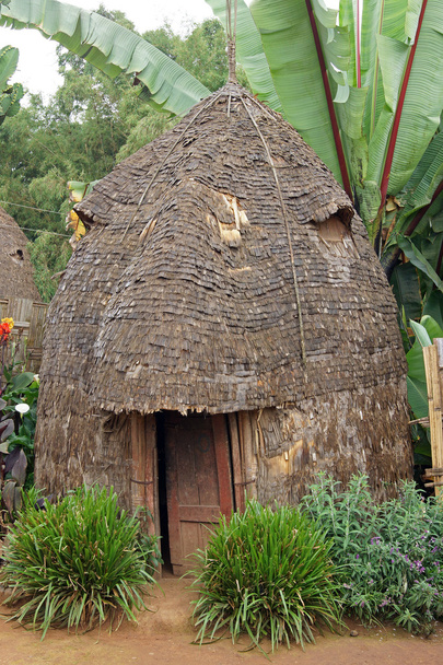 Dorze, Etiopía, África
 - Foto, Imagen