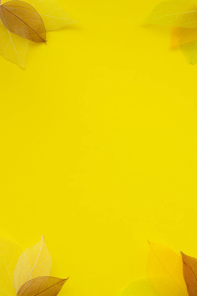 秋の構図。黄色の背景に乾燥した葉の骨格のフレーム。秋、秋のコンセプト。フラットレイアウト、トップビュー、コピースペース. - 写真・画像