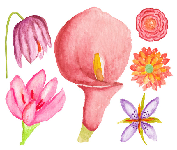 Kwiaty akwarelowe - Wektor, obraz