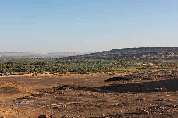 Vista panorámica del remoto paisaje del desierto egipcio africano con oasis y gran plantación de palmeras datileras - Foto, imagen