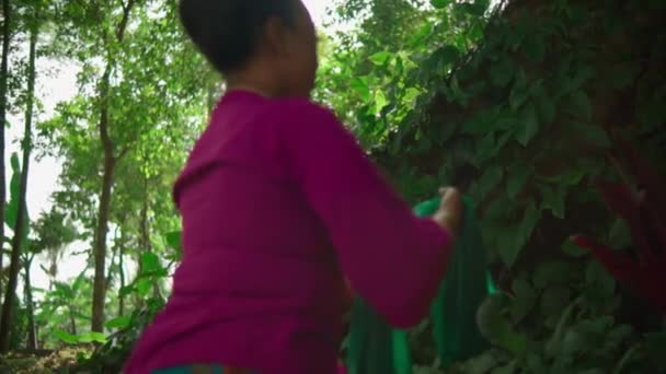 Азійські жінки кладуть зелений шарф на землю між зеленим листям перед ритуалом, що починається перед великим деревом всередині села. - Кадри, відео