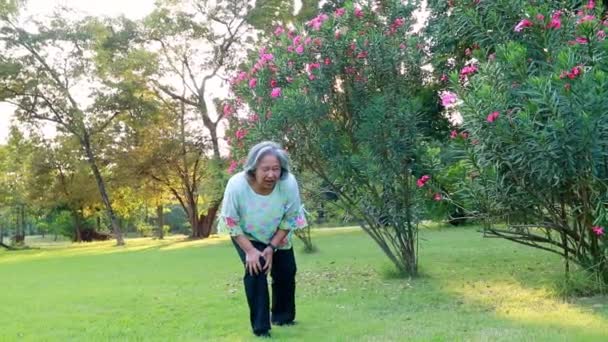 Asiatische ältere Frau mit Knieschmerzen Entzündungsmuskeln, die zu viel im Garten gehen und Verschlechterung des Körpers im Sitzen behandelt Knieschmerzen mit Massage, um Schmerzen zu lindern. - Filmmaterial, Video