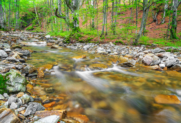 Small river in the mountain - Photo, Image