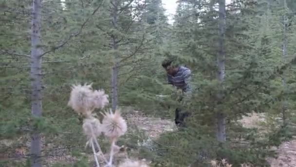 boscaiolo raccogliere cespugli nella foresta, l'uomo che viene nella foresta per tagliare un albero sta tagliando rami, lavorare in natura è faticoso  - Filmati, video