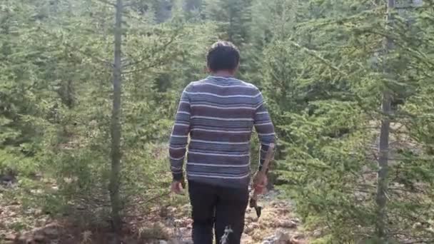 Giovane uomo che cammina nella foresta con la luce del giorno ascia mano, la gente abbatte gli alberi per il legno, è bello fare una passeggiata nella foresta - Filmati, video