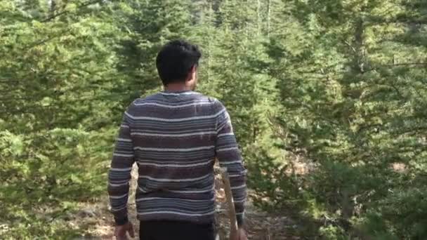 Lumberjack περπάτημα προς τα πίσω λάβει μια βόλτα στο δάσος, φροντίδα του δάσους, αναγνώριση της ανθρώπινης ψυχής στο δάσος τσεκούρι ώμου - Πλάνα, βίντεο