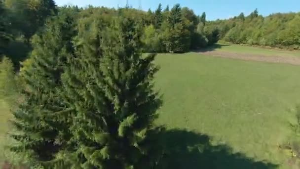 FPV DRONE: Female rider riding in company of two horses through forest meadows. Beautiful autumn day for horseback riding in vast countryside. Wonderful moment at the hilly countryside in fall season. - Footage, Video