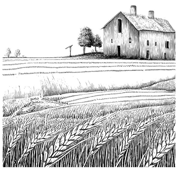 畑の上の農場レトロなスケッチ手描き彫刻スタイル抽象的なベクトルイラスト - ベクター画像