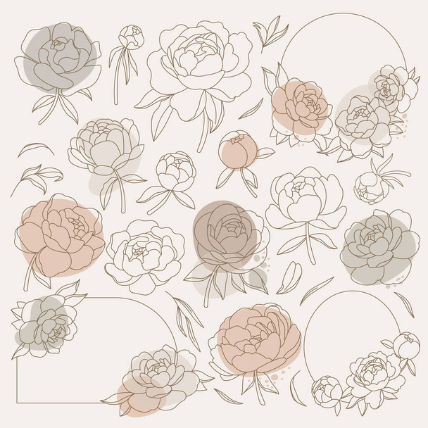 Peony flowers and leaves in line art style icons set. Contemporary floral design. Spring flowers blossom. Beautiful bouquet. Color isolated illustrations - Vector, Image