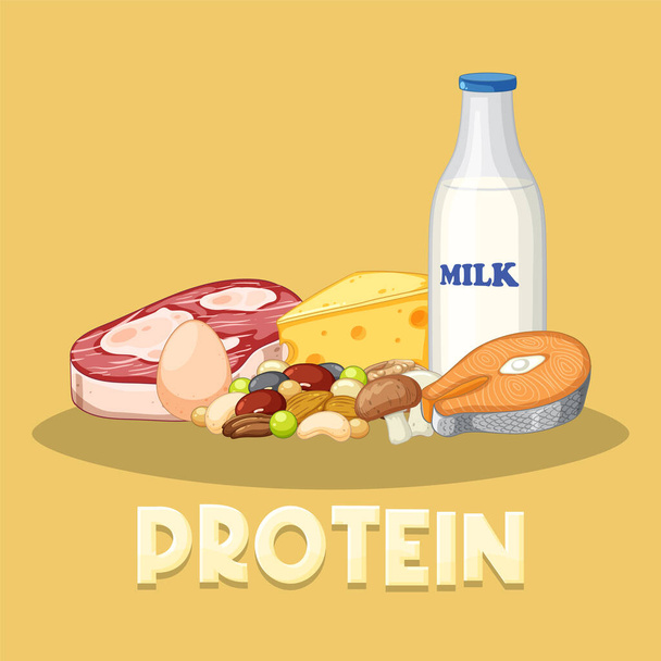 Variedad de alimentos proteicos con ilustración de texto - Vector, imagen