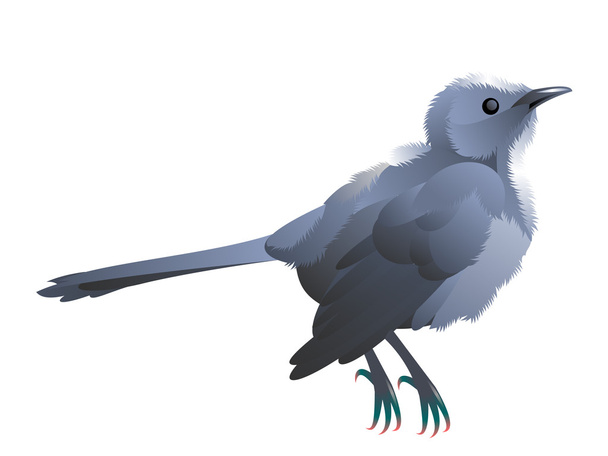 Little grey bird - Vector, Image