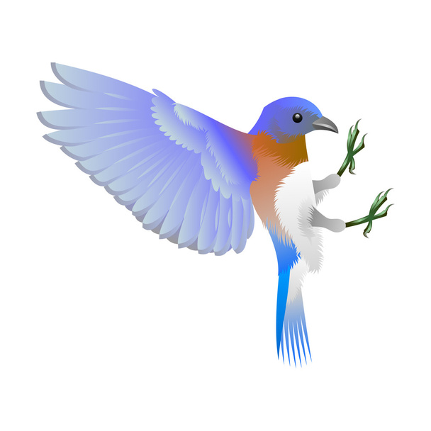 γαλάζιο πουλί με λευκό μαστού - Διάνυσμα, εικόνα