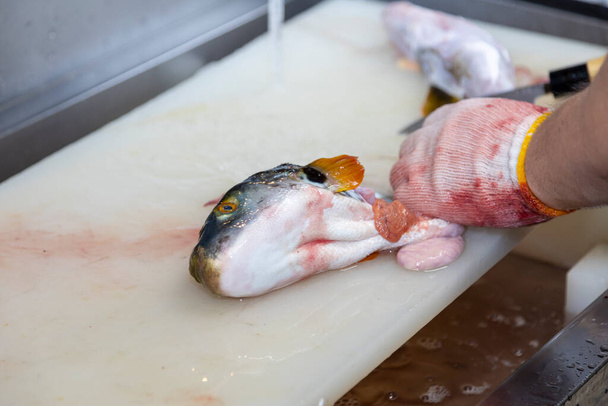 A Japanese chef processes fish to prepare sashimi. - Fotoğraf, Görsel