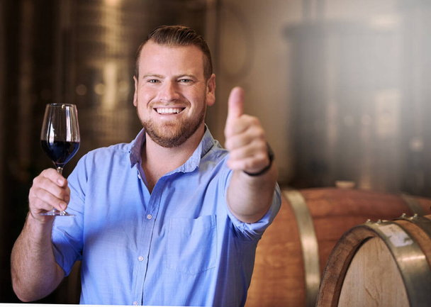 彼の完璧な性質は、彼のワイン造りに輝きます.蒸留所でワインの試飲を楽しむ男が - 写真・画像