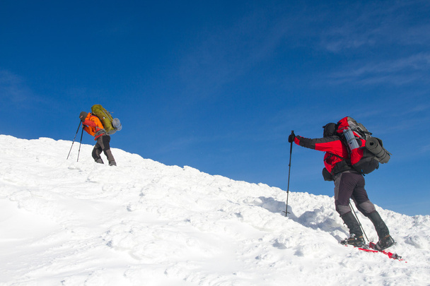 Hiker in winter mountains - Foto, imagen